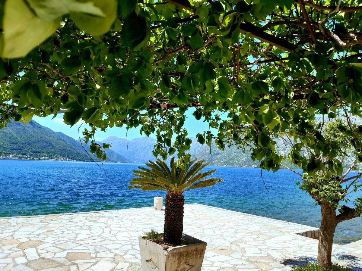 Apartments Sonja Kotor Kültér fotó